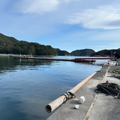 フカセ釣り仲間の募集です