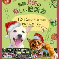 ジョートフル　保護犬猫の楽しい譲渡会🎵