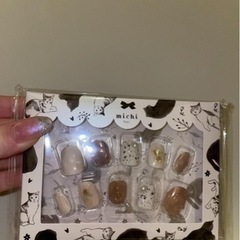 ニュアンスネイルチップ(ミチネイル)