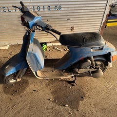 SUZUKI  ジェンマ50  
