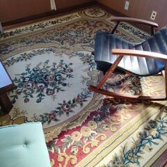 電気カーペット、絨毯の画像