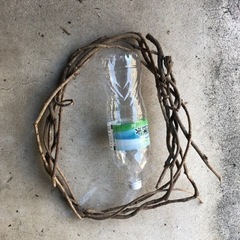 リース材料　キウイフルーツ　つる