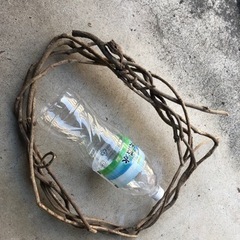 リース材料　キウイフルーツ　つるの画像