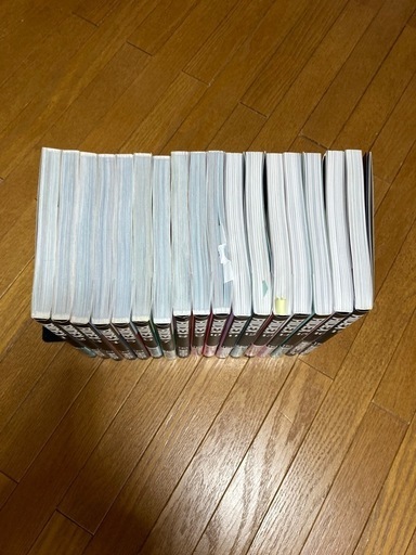 美品RIDEX 単行本 1〜17巻