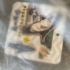 着ぐるみブランケット シャークの画像