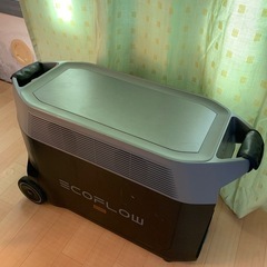 EcoFlow DELTA Pro UGの画像