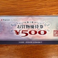 ヤマダ電気　お買い物優待券1枚