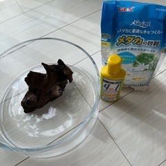 小型水槽・ガラス水槽　メダカ飼育セット