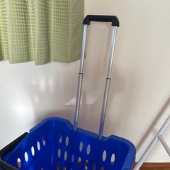 バスケットキャリーの画像
