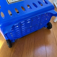 バスケットキャリーの画像