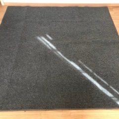 ［購入者決定］ホットカーペット二畳用の画像
