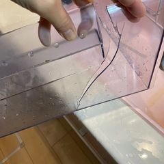 SHARP 冷凍庫の画像