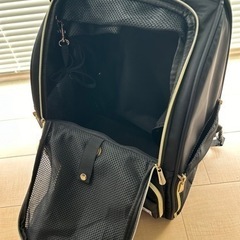 ペット用キャリーバッグの画像