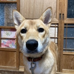 10ヶ月！優しさ、半端ないです！