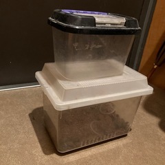 虫かご2つ　カブトムシ飼育ケースの画像