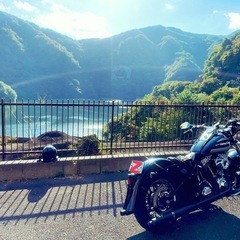 Harley-Davidson   FLSTC1580の画像