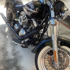 Harley-Davidson   FLSTC1580の画像