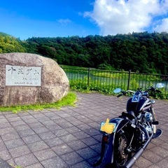 Harley-Davidson   FLSTC1580の画像