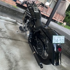 Harley-Davidson   FLSTC1580の画像