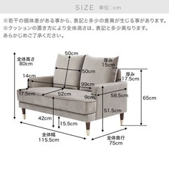2人掛けソファ 木脚 クッション ベルベット調  LOWYAの画像