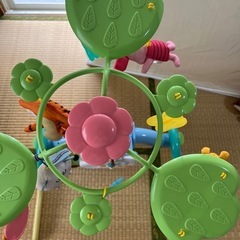 プーメリーの画像