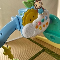 プーメリーの画像