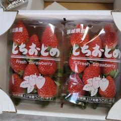 農家直送栃乙女、やよい姫、いばらキッスの画像