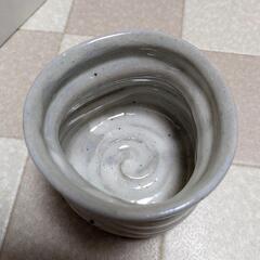 湯呑み5客セットの画像