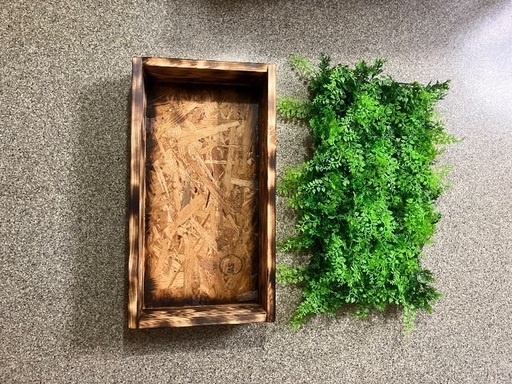 フェイク　植物