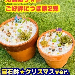 令和クリスマス★新提案★】多肉盆栽(宝石鉢-クリスマスver.-...
