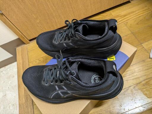 アシックス asics GEL-KAYANO 31 ゲルカヤノ31 27.0