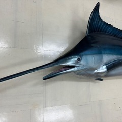 カジキマグロフィギアの画像