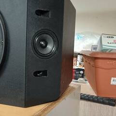 BOSE ボーズ MODEL 314 スピーカーペア 現役の完動品