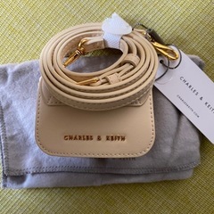 CHARLES&KEITH★Mini Koa Square PushLock Bagミニバックの画像