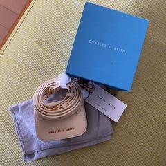 CHARLES&KEITH★Mini Koa Square PushLock Bagミニバックの画像