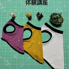 手作り犬服教室　体験講座
