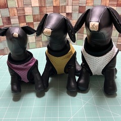 手作り犬服教室　体験講座の画像