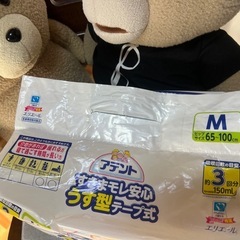大人用紙オムツMサイズの画像