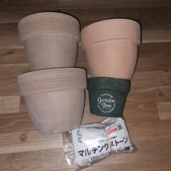 テラコッタ５号鉢等(使用済み)０円