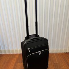 ACEキャリーバッグ