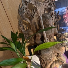 不動明王象の画像