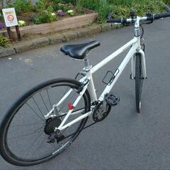 🚴💨GIANT EscapeR3 女性や小柄な人向けです🎶