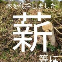 薪などに　木を切りました
