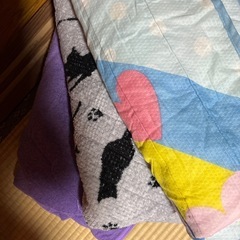 条件あり✨中古敷パット