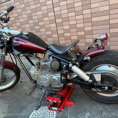 JAZZ 50 エンジン好調