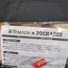 【新品未開封】ポチャッコのブランケの画像