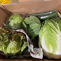 新鮮野菜の詰め合せ　農家直販　