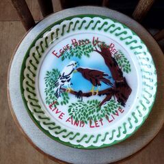 未使用品？ レトロ ホーロー 絵皿 プレート 琺瑯 壁飾りにも ...