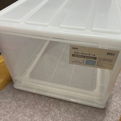 ニトリクローゼット収納ケースLサイズ2個セット