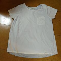 5点セット半袖シャツの画像